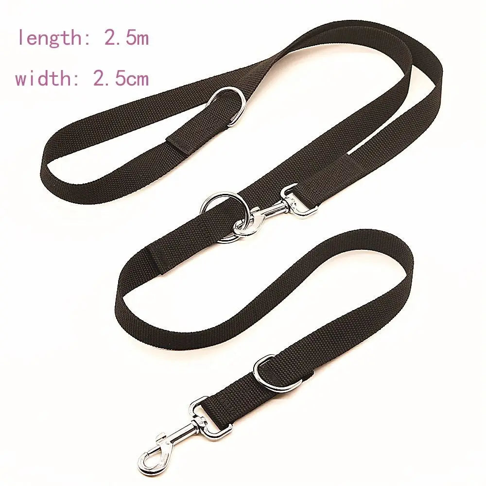 leash 2