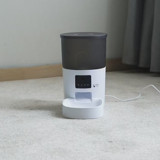 Cat Food Dispenser